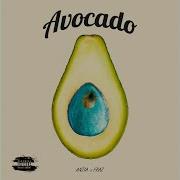 Avocado Anzia Fraz