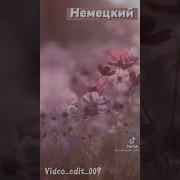 Васня Ночка На Разных Языках