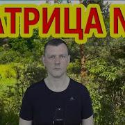 Матрица Горяева 7