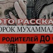 Священный Коран Сура Про Родителей