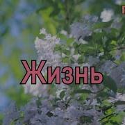 Курнуц Жизнь