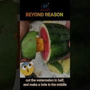 Mango Reason