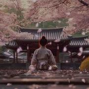 Cherry Blossom Meditation Music Zone