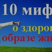 Здоровый Образ Жизни Мифы И Реальность