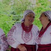 А В Саду Калина Расцветает
