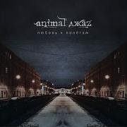 Питер Animal Джаz