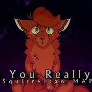 Who You Really Are Squirrelpaw The New Prophecy Map Reupload