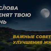 Управляй Своей Жизнью