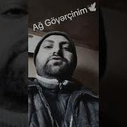 Ağ Göyərçinim
