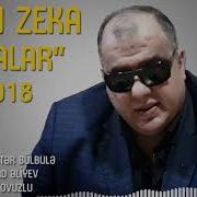 Elcin Zeka Analar 2018