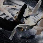 P Tchaikovsky Swan Lake Dance Of The Little Swans Techno Version