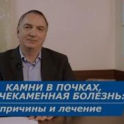 Доктор Евдокименко Почках Камни