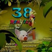 Dvd 38 Попугаев