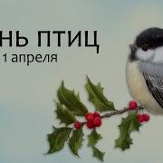 С Днём Птиц