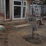 Петухи Дерутся За Главное Место