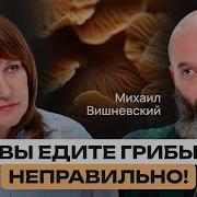Шокирующие Факты