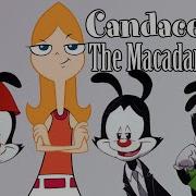 Candace Is Macadamia Nut