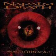 If Symptoms Persist Napalm Death