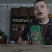 Кукушка Под Гармонь