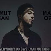 Sigrid Everybody Knows Mahmut Orhan Remix