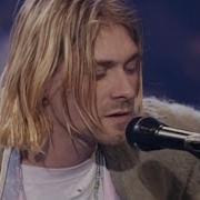 Nirvana The Man Who Sold The World Mtv Unplugged