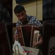 Тимур Харбукский