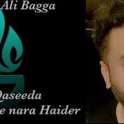 Lawo Jee Nara Haider