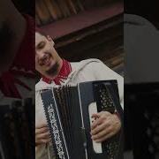 Башкорстан На Гармошке