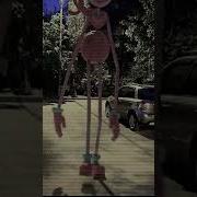 Длинноногая Мама Ехе