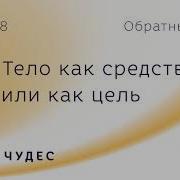 Целитель Главы 8