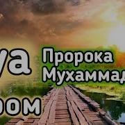 Сура Утром На Удачу В Работе