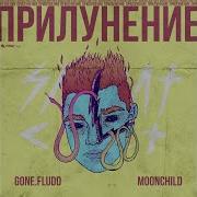 Странности Gone Fludd