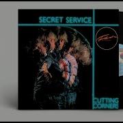 Fire Into Ice Secret Service