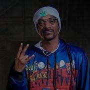 Snoop Insane