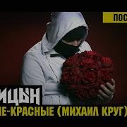 Пионы Сний Птица Караоке