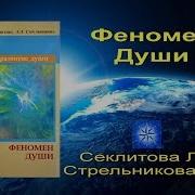 Феномен Души Или Как Достичь Совершенства