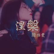 陸怡雯 涅槃 慢搖Dj舞曲 2023年最勁爆的Dj歌曲 Chinese Dj Remix 2023