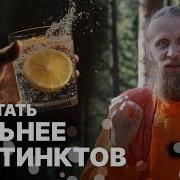 Клип Да Да Да