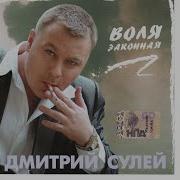 Дмитрий Сулей Воля Законная