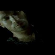 Жизнь Лигалайз