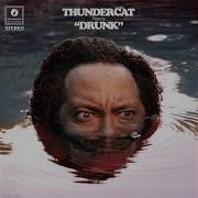 Thundercat Captain Stupido