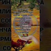 Согинч Хакида Шерлар