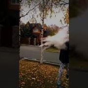 Я Курю Лесную Дурь Лайк