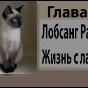 Жизнь С Ламой 5