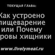 Себастьянович Новая Книга О Сыроедение Или Почему Коровы Хищники