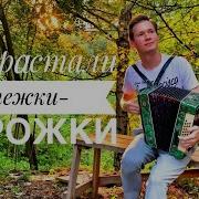 Позарастали Стежки Дорожки Под Гармонь