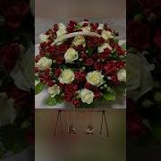 Desi Крылатые Качели