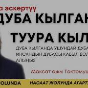 Кыргызча Дуба Кылуу