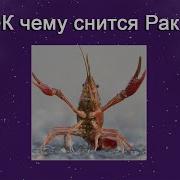 Пиво С Раками Снится