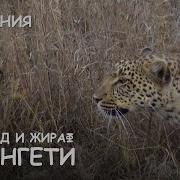 Мир Приключений